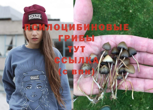 спиды Верея