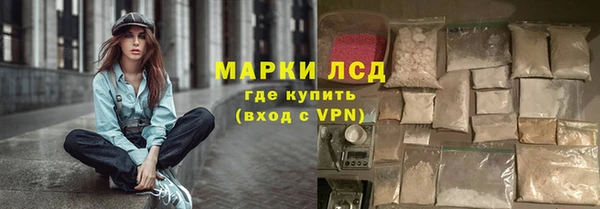 спиды Верея