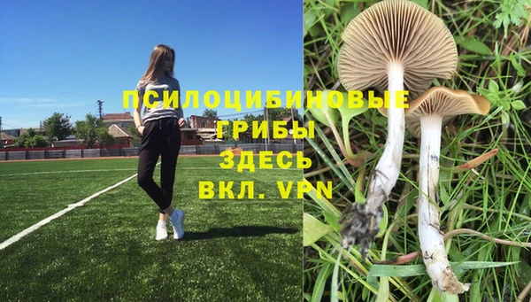 соль курить ск Верхний Тагил